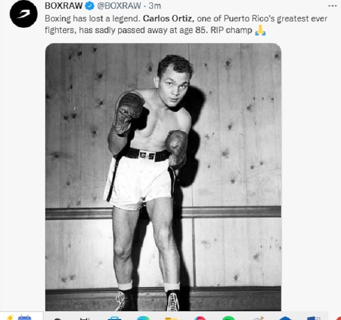 More about the famous boxer