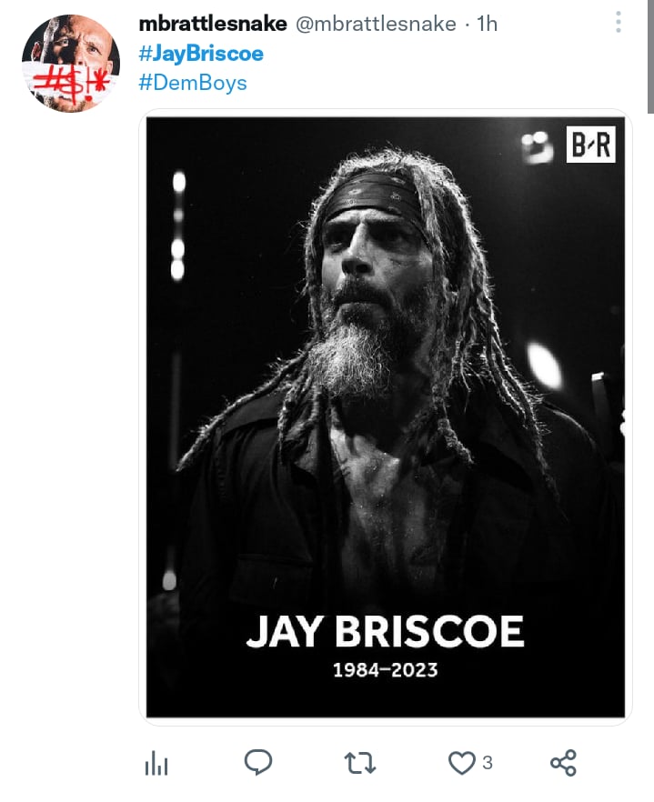 Wrestler Jay Briscoe dies