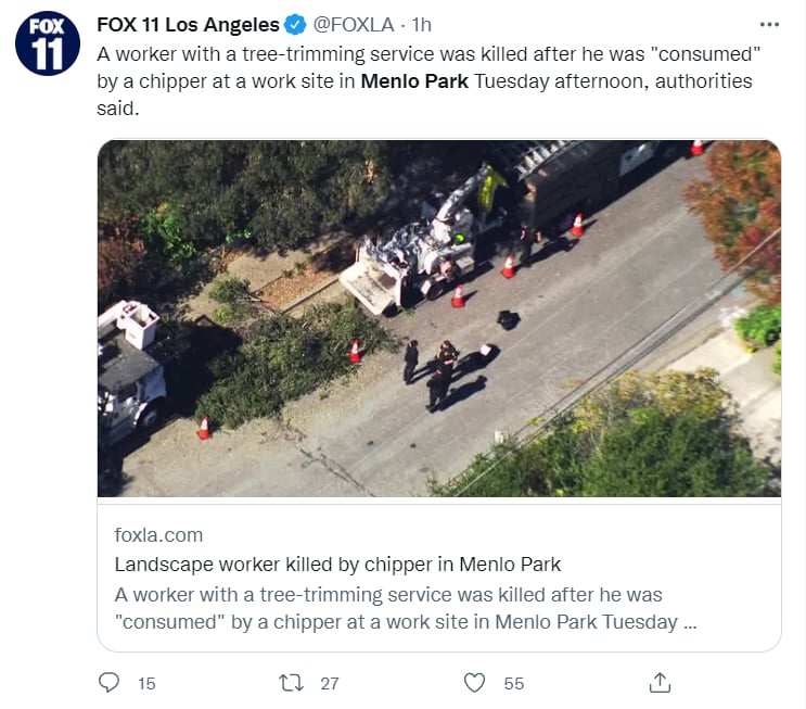 MAN DIES AFTER FALLING INTO CHIPPER