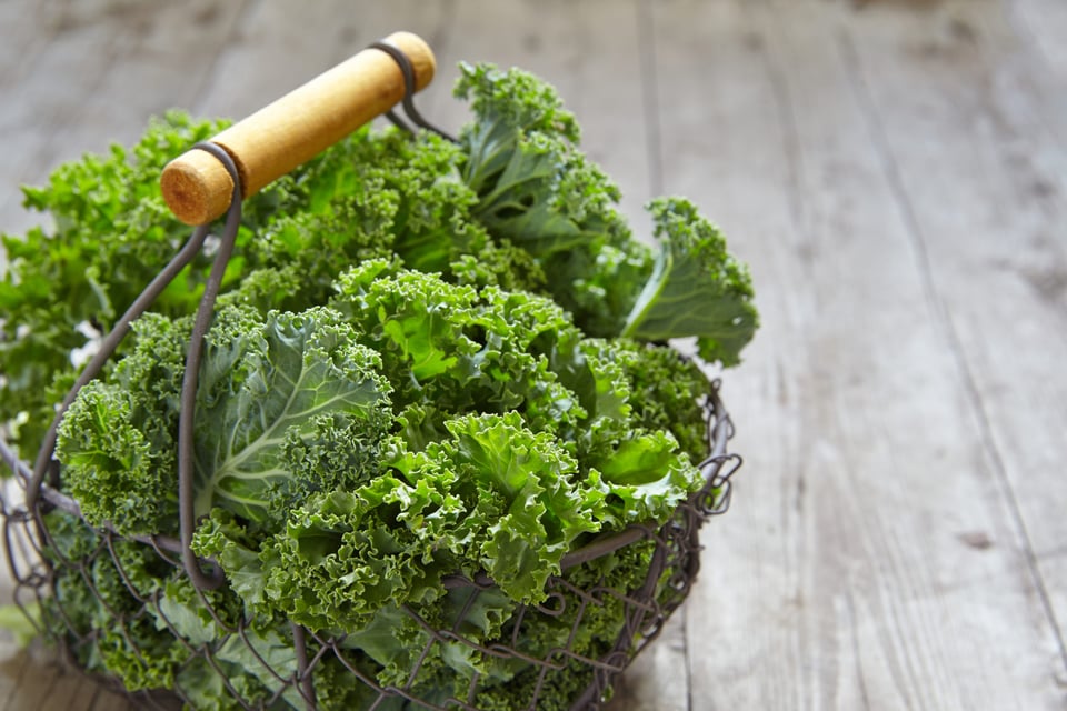 clorofila, espinacas, col rizada, verduras de hojas verdes, caca verde, ¿Por qué mi caca es verde?