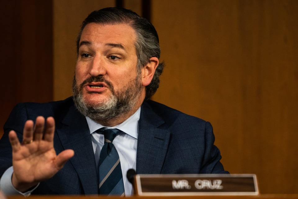 Ted Cruz, Senador, Estados Unidos, gobierno, Política