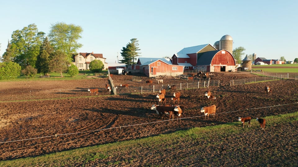 Christmas vacation, travel, vacation, farm