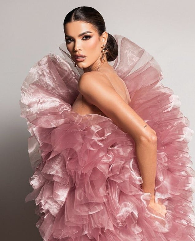 Ileana Hernández, Miss, Venezuela, translator