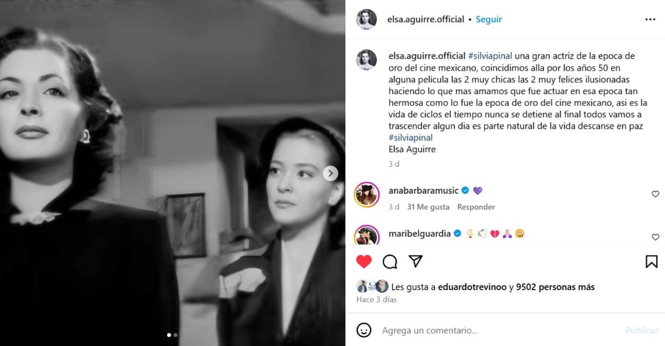 Elsa Aguirre Silvia Pinal, message, social networks, Instagram, MundoNOW