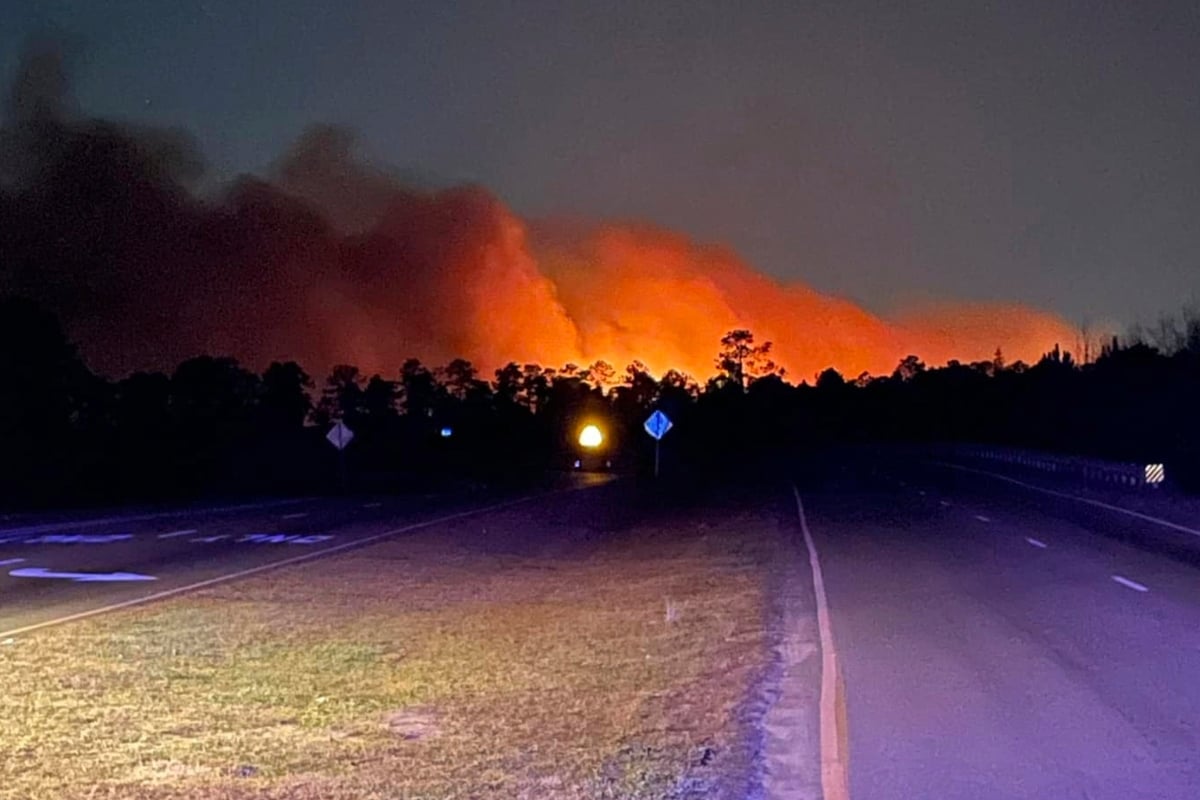 Carolina del Sur en emergencia por incendios forestales, South Carolina Declares State of Emergency Due to Wildfires