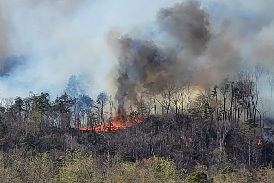 Carolina, North, Fire, Forestry, North Carolina in Crisis