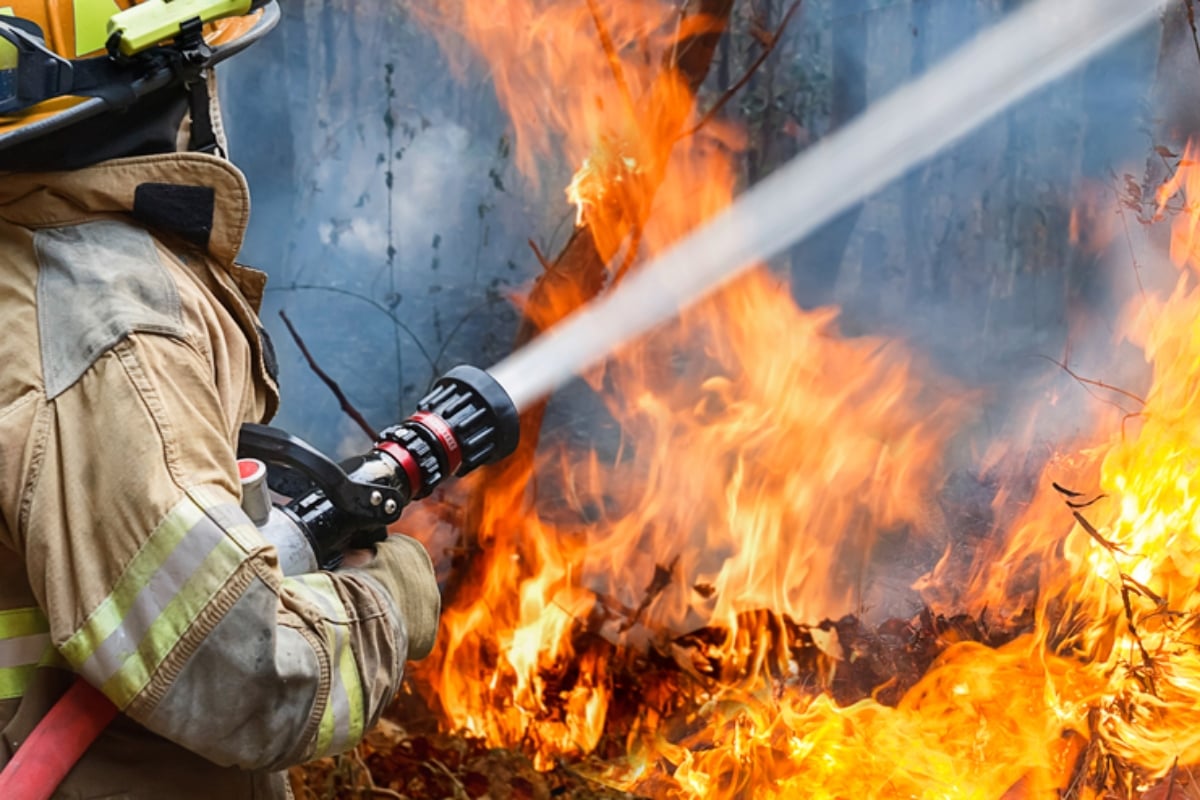 North Carolina in Crisis: Wildfires Devastate Forests, Force Evacuations