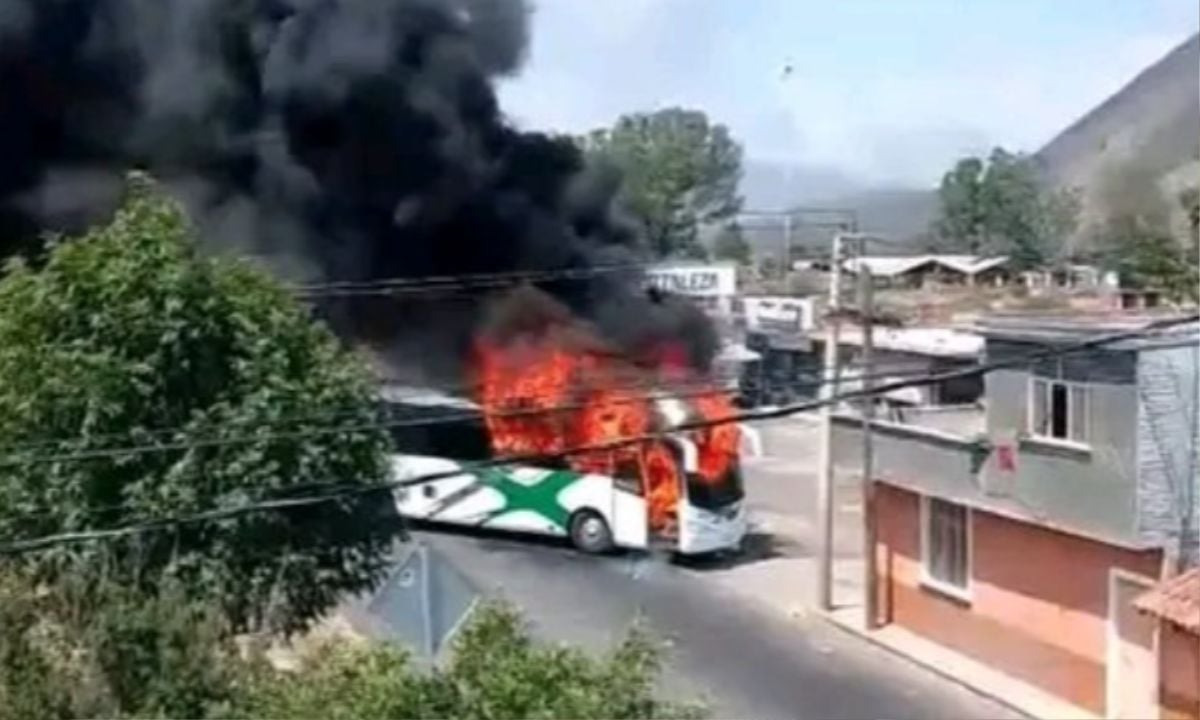 Cartel Dispute in Mexico Leaves Dead and Chaos Across Three States