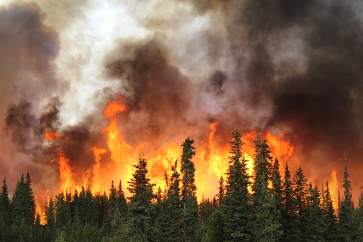 Incendio en Florida provoca llamas de rápida propagación; ordenan evacuaciones