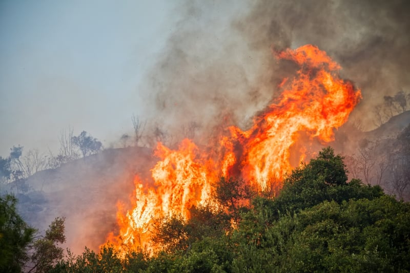Evacuaciones por incendio en Florida, Alerta, EEUU, Impacto, Riesgo