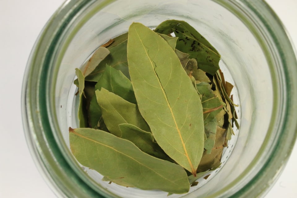 Agua con laurel y sal, Remedio, Receta, Masaje, Impacto