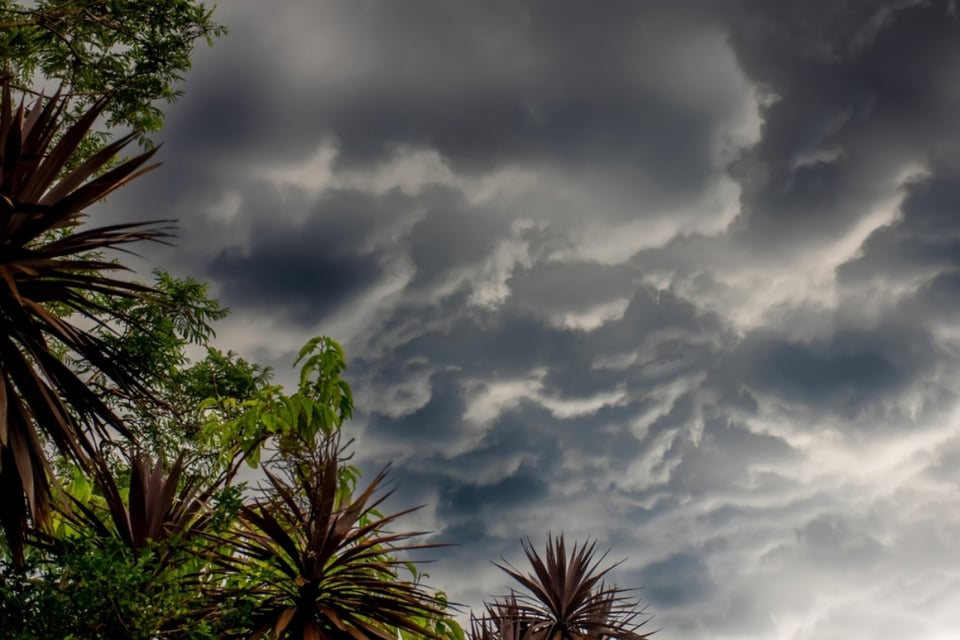 Possible Tropical Alvin Storm, Climate, Storm, USA