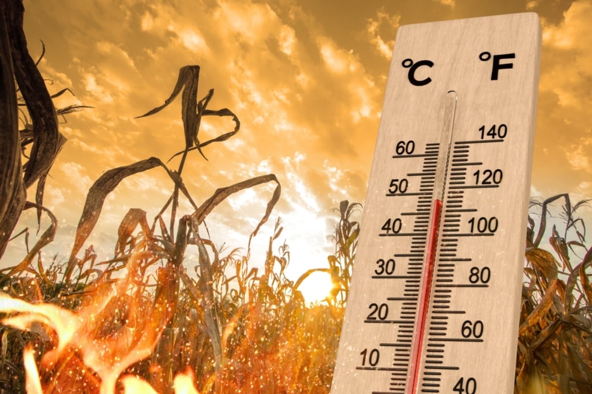 June Kicks Off an Extreme Summer in the U.S.: Heat, Droughts, and Wildfires Looming