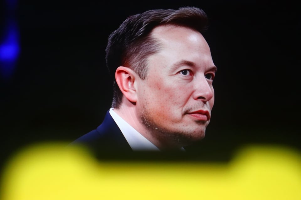 DOGE, Elon, Trump MundoNOW