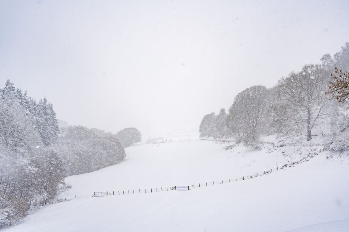 La Niña dominará el invierno en EEUU: así cambiarán las temperaturas, la lluvia y la nieve en 2025-2026