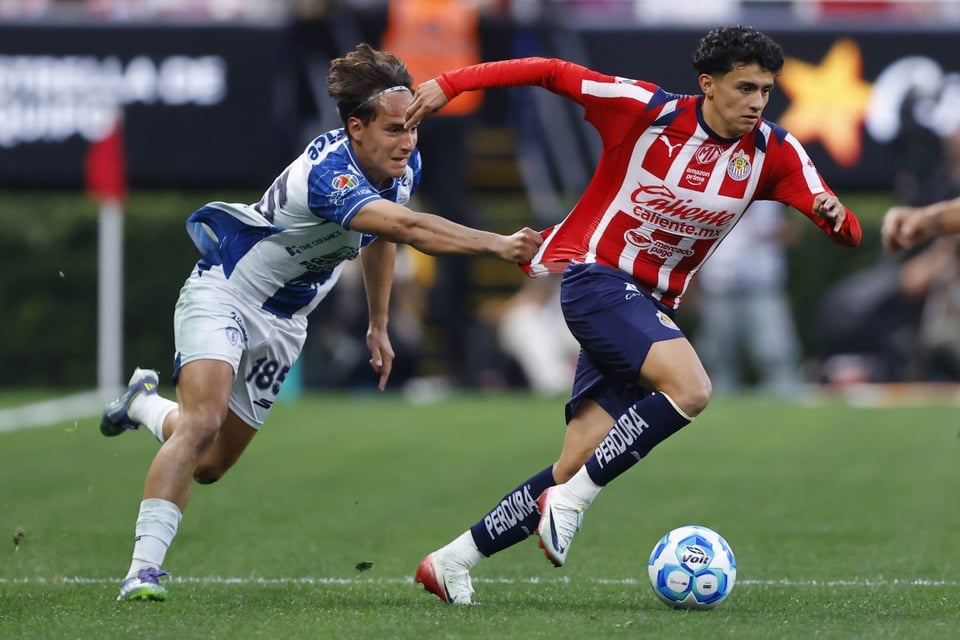 Chivas, Hormiga