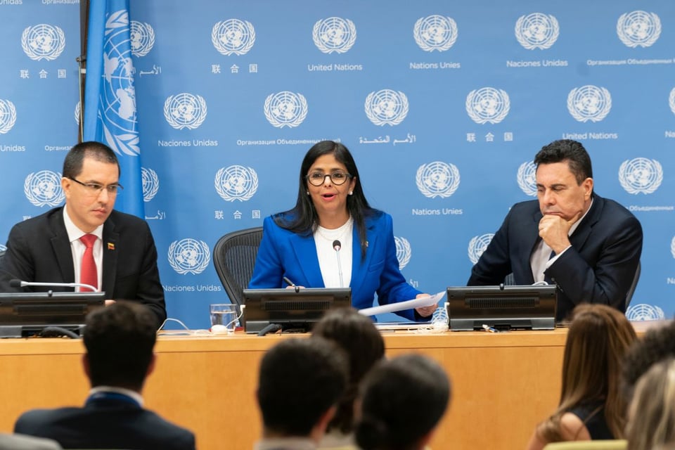 Delcy Rodríguez, gobierno interino