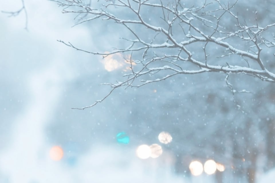 Temperaturas bajas y nevadas históricas