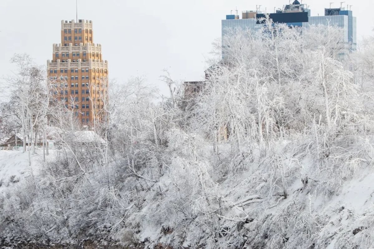 Frío extremo azota Nueva York y deja al menos cinco muertos