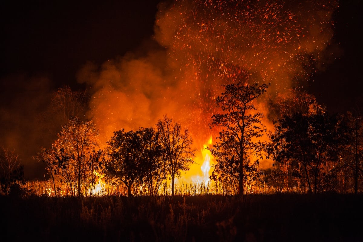 Incendios en el sur argentino obligan evacuaciones masivas