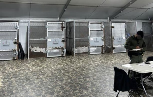 Alligator Alcatraz Investigation Finds Troubling Detention Conditions