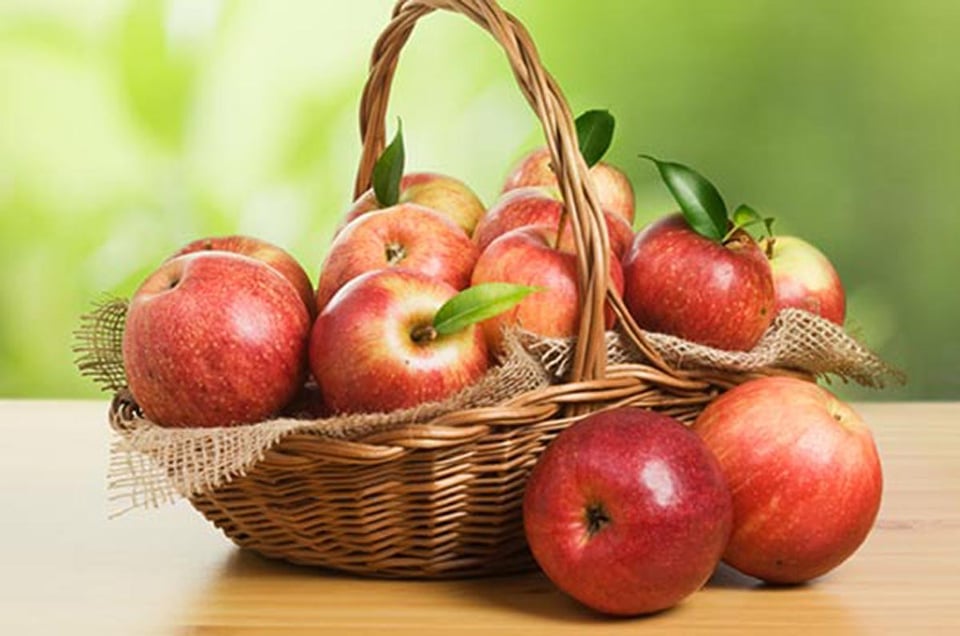 Macintosh apples, basket, fruit