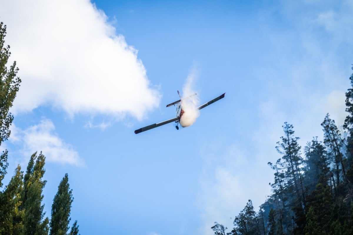 Small Plane Crashes After Hitting Power Lines, Leaving Several Dead