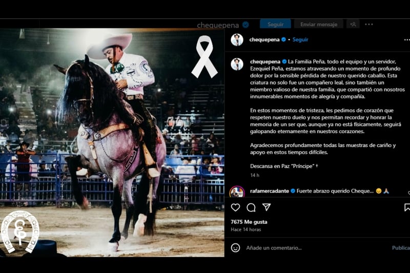 Muerte de Caballo Príncipe, Cantante, Mexicano, Cheque Peña, Luto