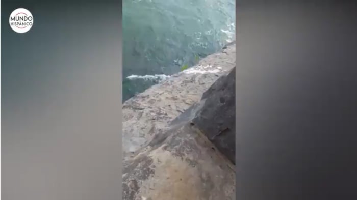 Man is swept over Niagara Falls
