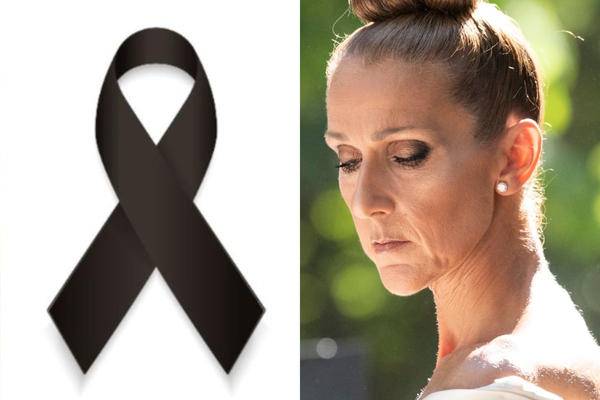 Céline Dion’s niece dies in a tragic car accident