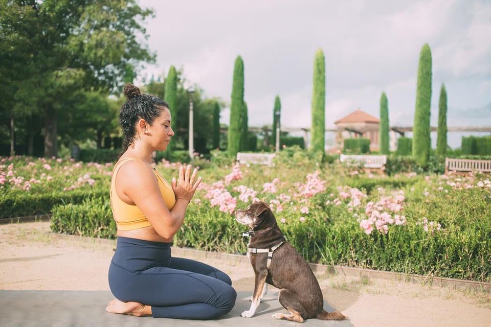 bienestar, aplicaciones, salud, mental, ejercicio