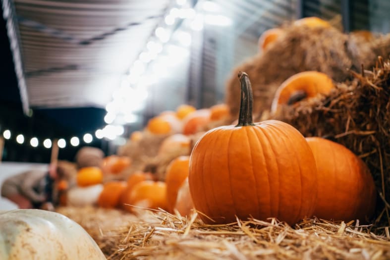 Experts say Halloween will be a cold and rainy night