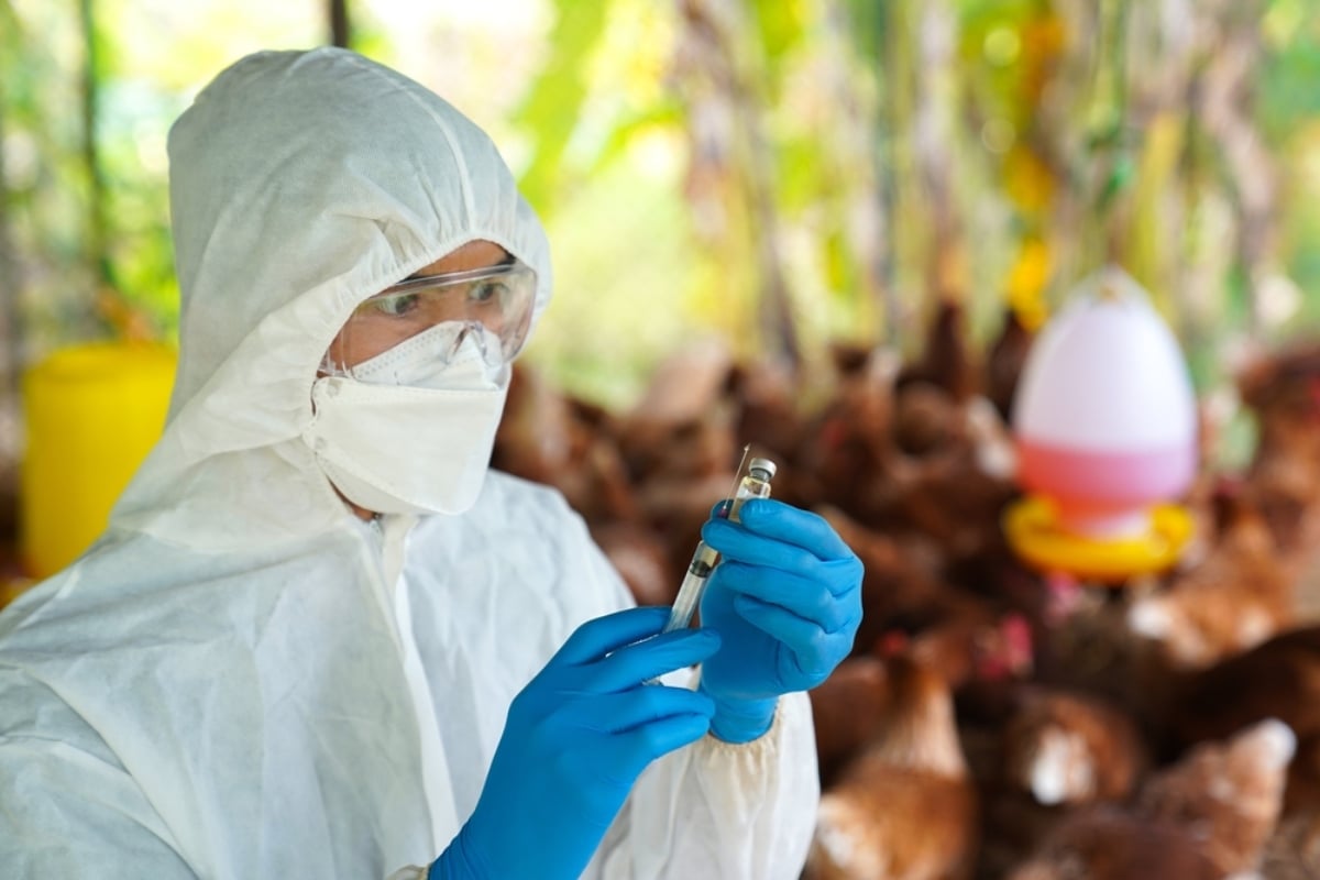 First human infection with bird flu in the US without animal contact
