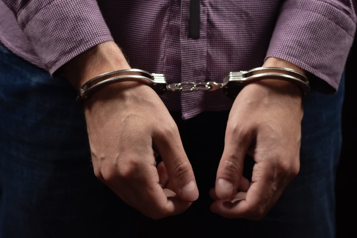 Palestinian Student Detained in the U.S. Over Pro-Palestinian Activism