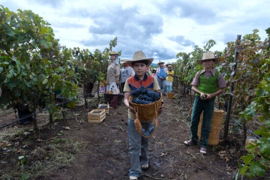 inmigrantes, camilo lara, película, producción, michoacán