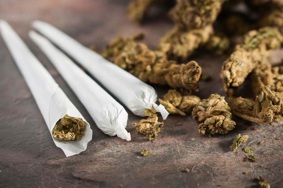 marihuana, porros, cogollos, salud mental, dosis