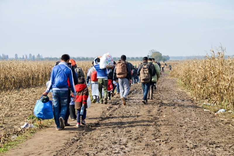 Migrants, USA, Hispanics, Visas, Key Details of Biden's Immigration Plan