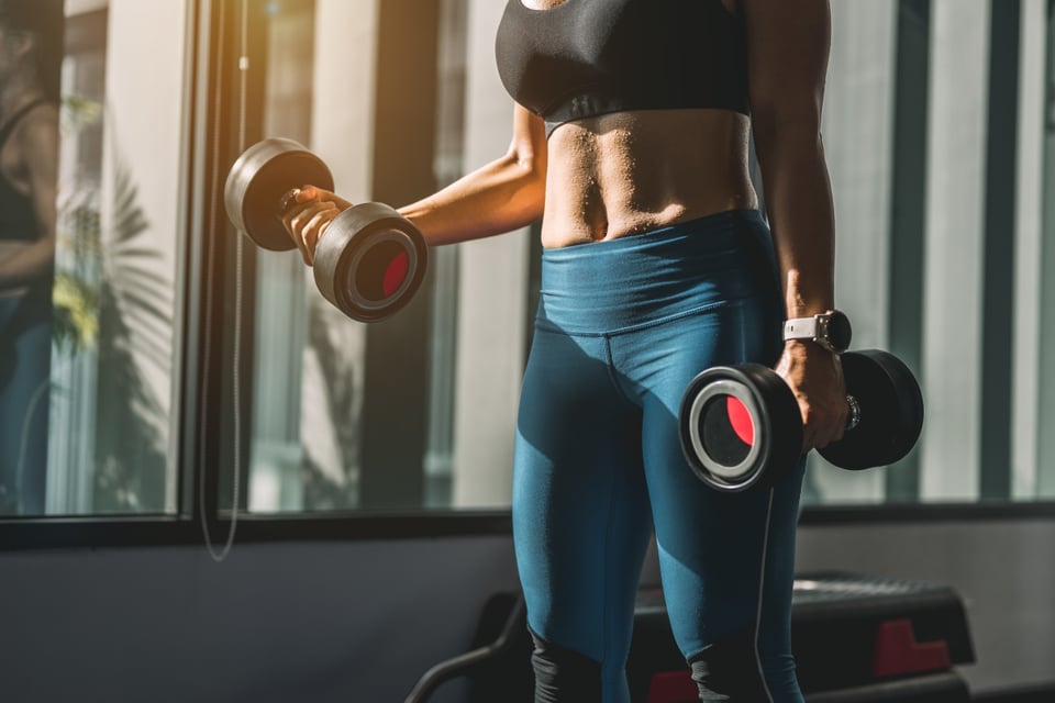 Women's Bodybuilding in the USA, Lisa Lyon's Career, Bodybuilding Success, Lisa Lyon's Movies, Television Interviews