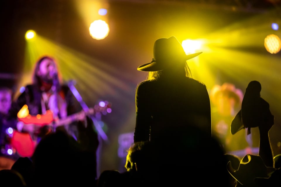 Cantante, Concierto, Muerte, Pérdida, Escenario