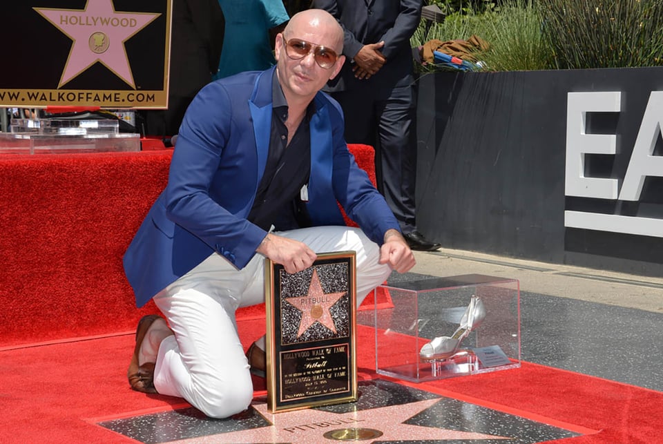 Miami, rapper, international, superstar, Pitbull's music