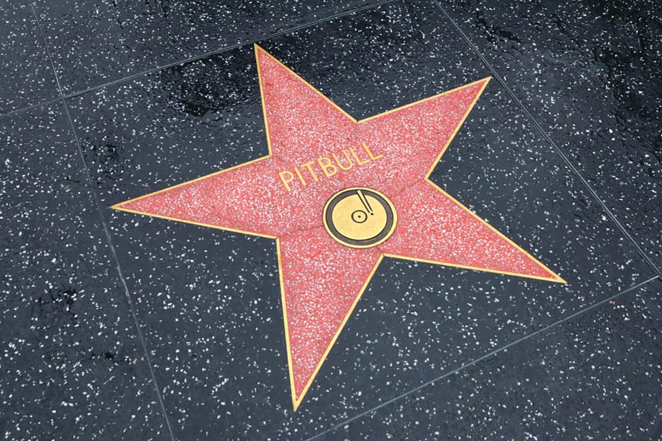 Hollywood, legacy, star, singer, Armando Christian Pérez