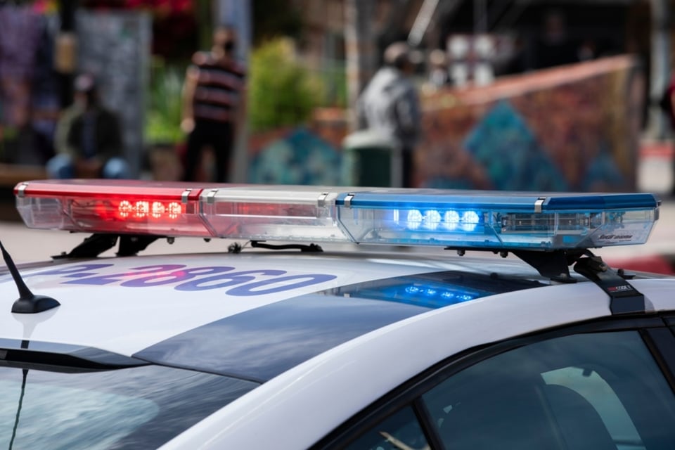 Valuable crab theft in Philadelphia, Pennsylvania, United States, Walmart, Crime