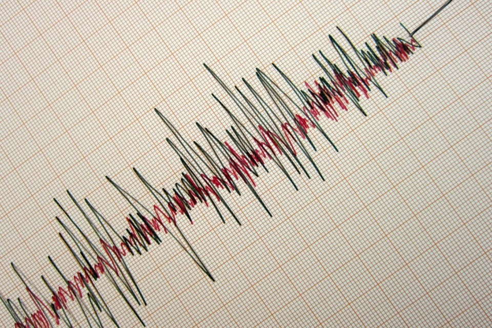 sismo, Nueva York, actriz, Sofía Castro, mundonow