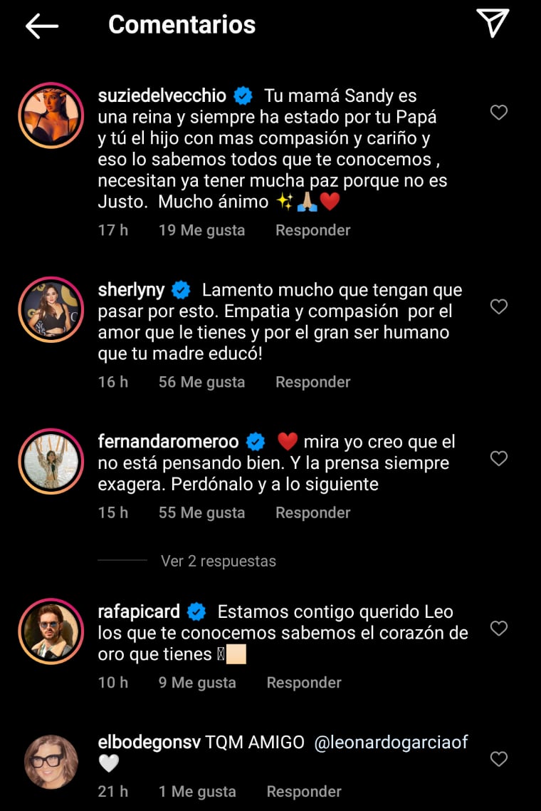 Celebrities show their support for the son of Andrés García