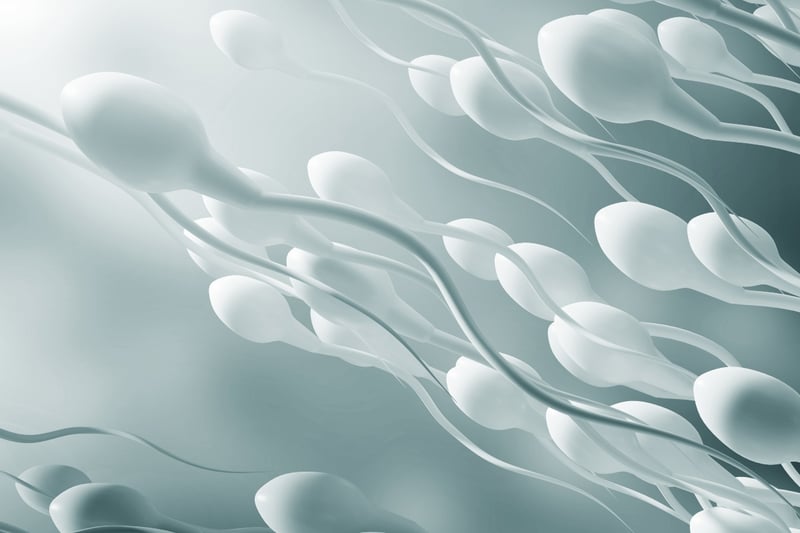 food, nutrition, exercise, healthy living, MundoNOW, nutritious semen