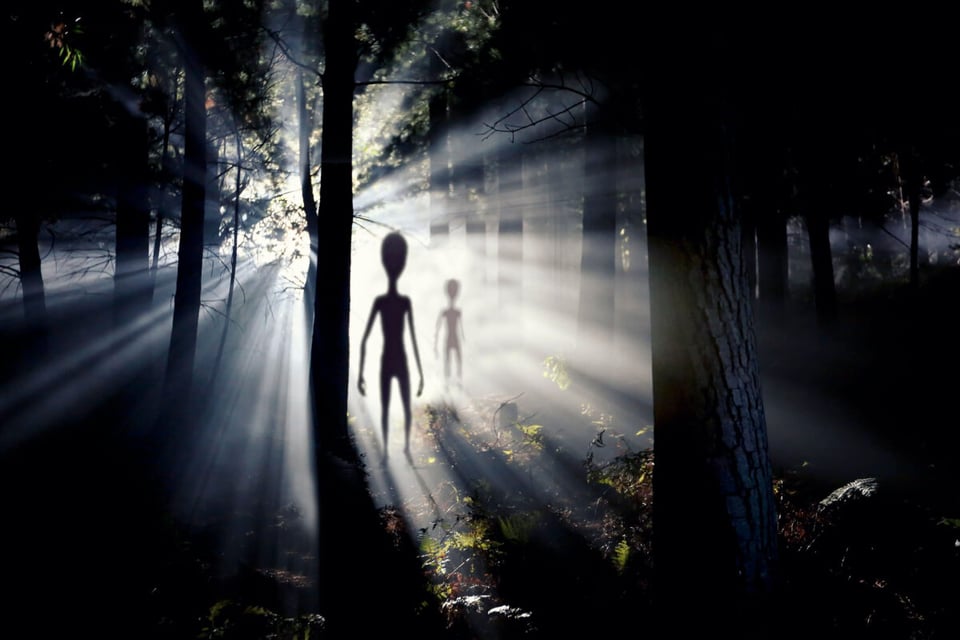 Extraterrestrials shadow walking in a forest