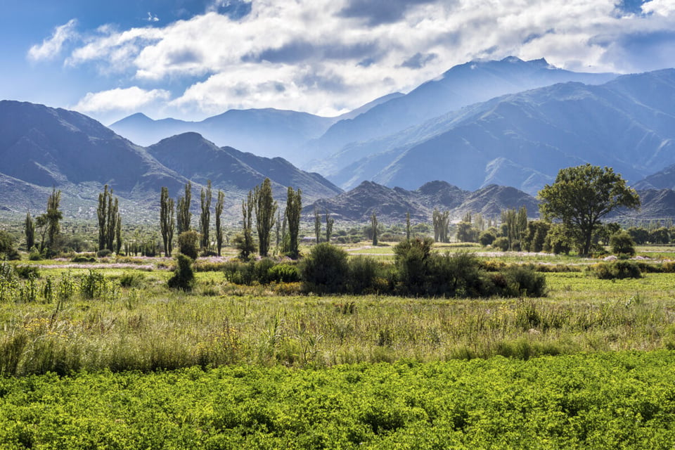 Campo en Salta, Argentina