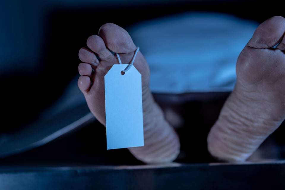 Pies de cadáver