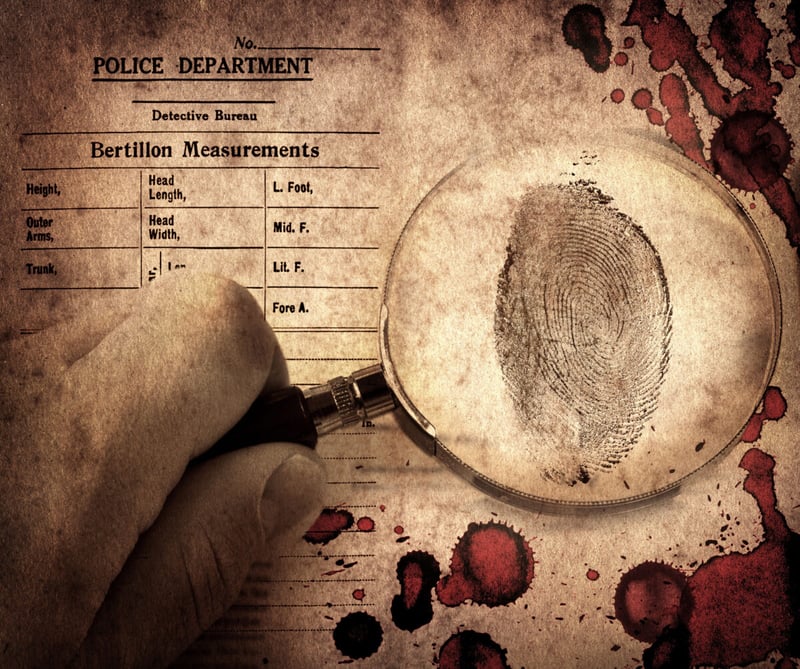 A document for a murder case