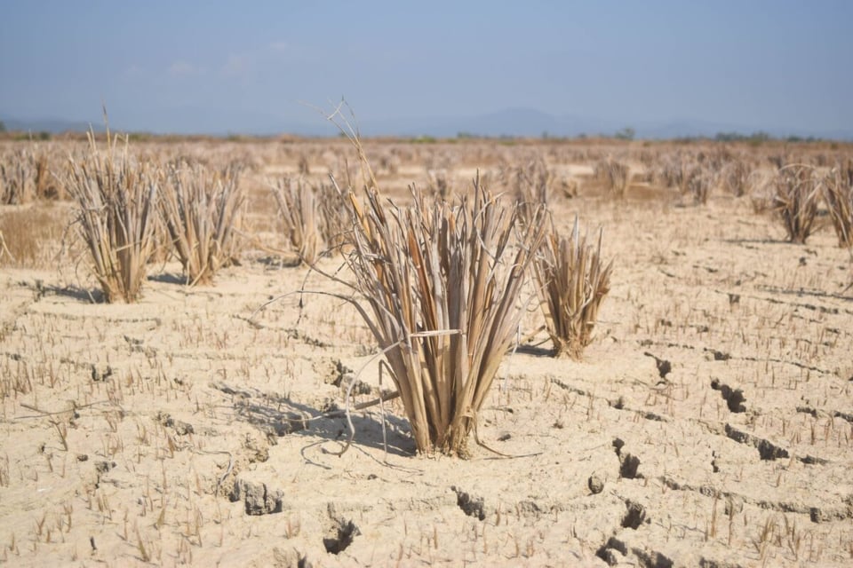 Tierra, Sequía, Desierto, MundoNow, Podcast